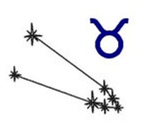 juju + stitch Personalized Custom Embroidered Icons Taurus / Left Chest Zodiac / Horoscope Constellations